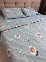 АЛЛІШКА